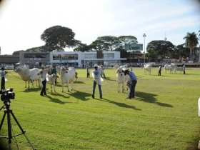 Definidos jurados da ExpoZebu 2015