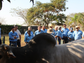 Técnicos de MG calibram os olhos no EPMURAS  