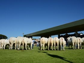 43ª Expoinel encerrada em Uberaba