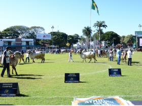 Fique atento às novas regras da ExpoZebu 2018 !