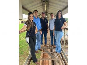 PMGZ Carne encerra 2025 com abate técnico de animais da EAO Agropecuária