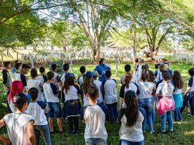 Museu do Zebu promove produção do conteúdo para a revista ?Turma do Zebuzinho?