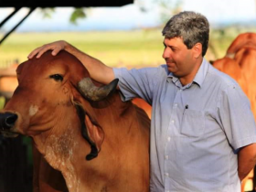 Pecuária em luto por Luiz Ronaldo de Paula