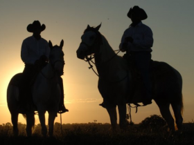 Gente do mundo do zebu é destaque nas indicações do Prêmio BeefPoint