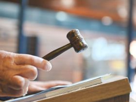 ExpoLeite 2024:  primeiro leilão da temporada movimenta mais de R$ 720 mil, em Uberaba (MG)