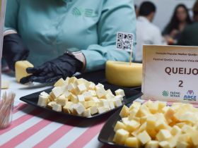 1º Festival Queijo Cachaça e Viola elege melhores queijos 