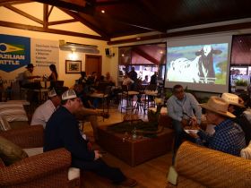 88ª ExpoZebu: evento aborda o futuro da pecuária internacional 