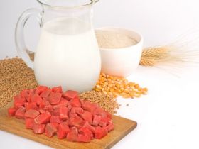 Receita de um grande carnaval 