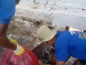 ABCZ se esforça para manter Parque Fernando Costa sem registro do Aedes Aegypti