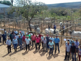 Pequenos produtores de MG aproveitam oferta de touros do Pró-Genética