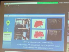 ABCZ promove treinamento virtual para Técnicos de Campo da entidade