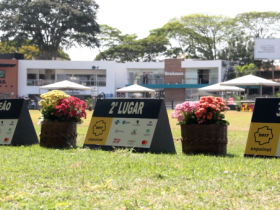 Grandes campeonatos da Expoinel, ExpoBrahman e ExpoGil serão definidos no fim de semana