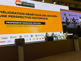 História do melhoramento genético de zebuínos no Brasil é tema de palestra na Costa do Marfim