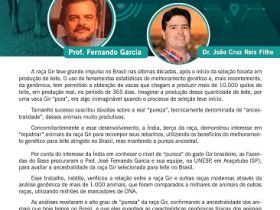 ABCGIL promove webinar sobre a ?Ancestralidade do Gir Leiteiro?