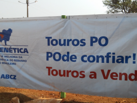 Pró-Genética em Presidente Olegário