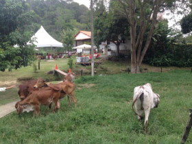 Criador cearense busca sustentabilidade na produção leiteira 