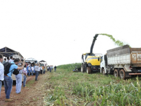 Expozebu Dinâmica: A Feira que Alimenta a Pecuária