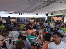 Melhoramento Genético garante sucesso de projeto pecuário alagoano 