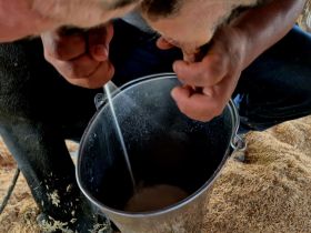 Debate sobre o leite abre 3ª edição da Intertech Agro, na EXPO Rio Preto
