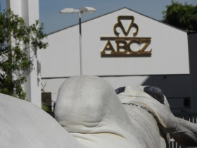 Expoinel Minas abre calendário do zebu em 2015