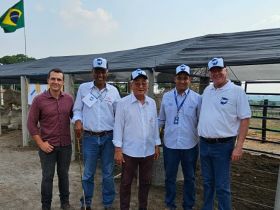 Mais de 250 pecuaristas participam da 3ª Feira de Genética Ripec Nelore em Rondônia 