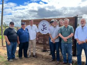 ABCZ comemora 79 anos da chegada do 1º Zebu PO ao Ceará