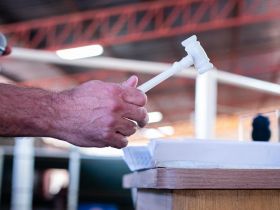 17ª ExpoGenética: leilões da feira já movimentaram mais de R$ 88 milhões; agenda segue até terça (27)