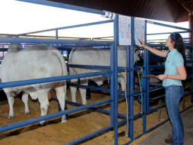 PNAT 2016 prevê aumento de 30% no volume de sêmen distribuído gratuitamente