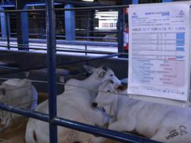 Descontos nas inscrições para a ExpoGenética 2017 vão até o dia 10 de julho