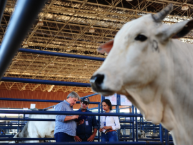 Julgamento do Concurso Matriz Cláudio Sabino Carvalho foi realizado hoje (24)