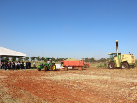 Visitantes participam de atividades no penúltimo dia da ExpoZebu Dinâmica  