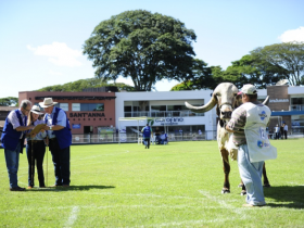 Presidente da ABCZ e diretor Técnico julgam campeonato Matriz Modelo