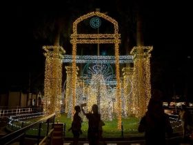 ?Natal no Parque 2019? será aberto nesta quinta-feira (12) com iluminação recorde