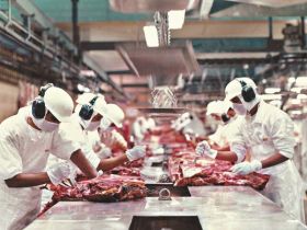 Exportação de carne in natura foi maior em outubro