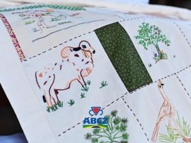 Artesanato solidário ganha destaque na 91ª ExpoZebu