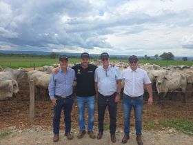 ABCZ visita fazendas do Agro Paranã e destaca excelência na seleção do Nelore