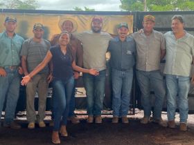 Sucesso da 1ª Feira de Touros Nelore NGJ revela crescimento do melhoramento genético zebuíno na região de Castanheira (MT)