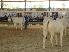 Coordenador do Colégio de Jurados acompanha julgamentos em Avaré
