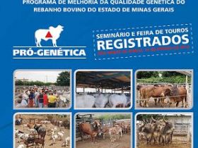São Roque de Minas terá feira do Pró-Genética