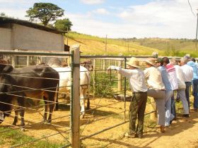 MG e ES promovem primeiras feiras do Pró-Genética em 2012
