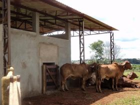 Projeto de produção de Leite Orgânico tem início com Controle Leiteiro 