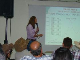 De olho na genética zebuína, criadores da República Dominicana confirmam presença na ExpoZebu 2012