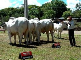 ES 2012 fecha ranking estadual e inaugura a Copa do Atlântico