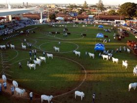 Inscrições da 78ª ExpoZebu serão encerradas no dia 06 de abril