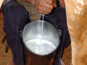 FAZU propõe a Ministro instalação de laboratório de qualidade do leite em Uberaba 