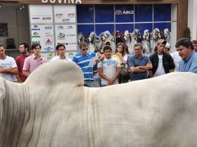 Lançamentos e aulas práticas marcam participação da FAZU durante ExpoZebu