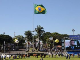 Presidente da ABCZ enfatiza profissionalismo e importância do setor pecuário