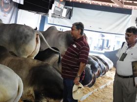 Mais de 350 estrangeiros visitam 78ª ExpoZebu