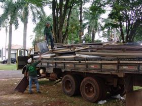 Madeira utilizada durante a ExpoZebu tem destinação correta