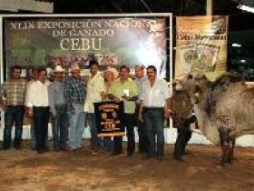 Exposição mexicana aposta em jurado brasileiro para definir campeões